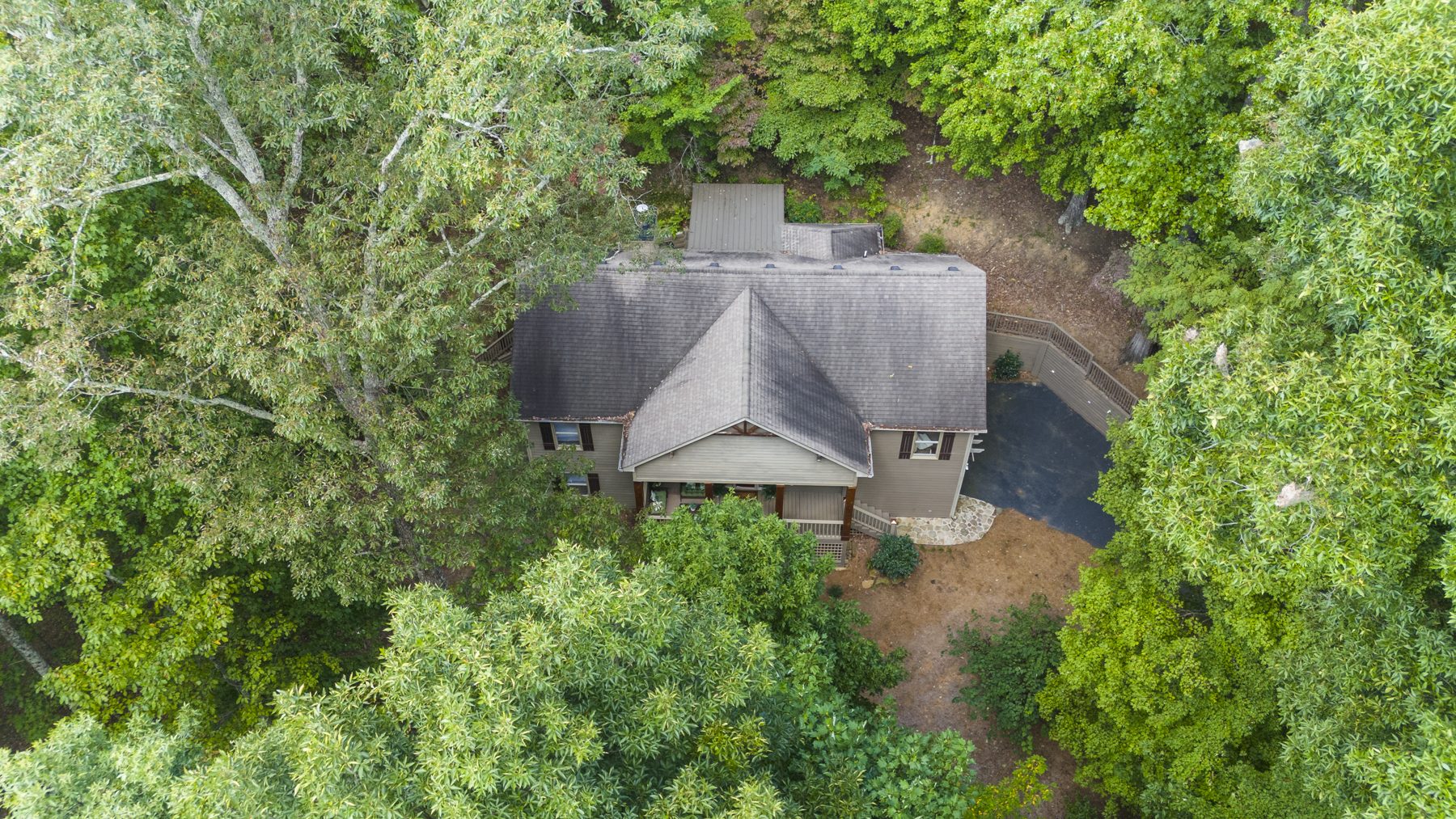 Aerial view of Nestled Sparrow nestled in the Big Canoe forest